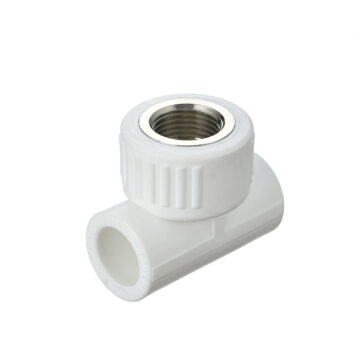 RACORD TEU PPR ALB GENESIS GI